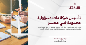تأسيس شركة ذات مسؤولية محدودة في مصر